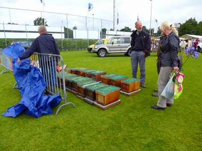 809743 Afbeelding van enkele kasten met bijenvolkeren op de jaarlijkse Bijenmarkt in het Sportpark Panhuis (Verlengde ...
